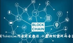 全面解析Tokenim代币开发教程：从基础到实战的全